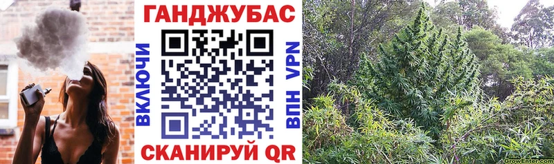 купить наркотик ссылка на мегу ссылки Бошки марихуана VHQ Бутурлиновка